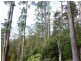 00 Abbotts Road, Maydena TAS 7140