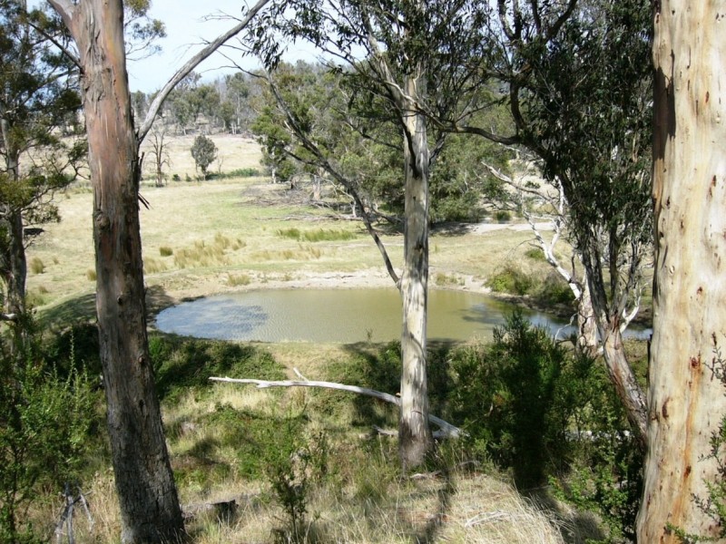 00 HORNERS ROAD, Elderslie TAS 7030