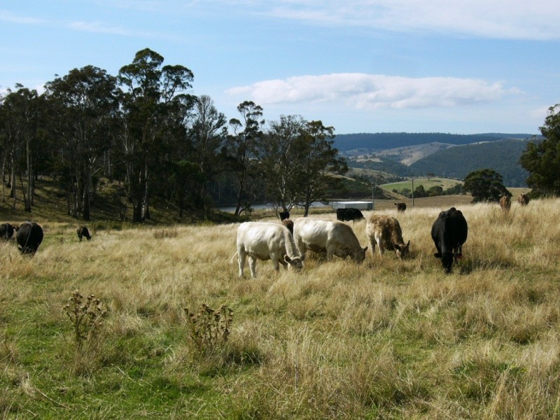 00 HORNERS ROAD, Elderslie TAS 7030