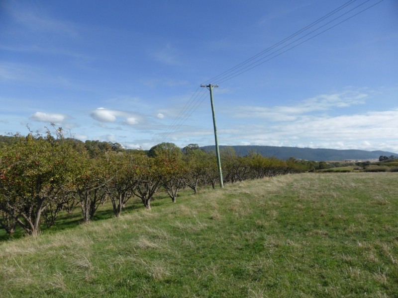 2204 Lyell Highway, Hayes TAS 7140