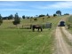 Lot 1/120 Gunner Quoin Road, Old Beach TAS 7017