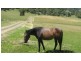 Lot 1/120 Gunner Quoin Road, Old Beach TAS 7017