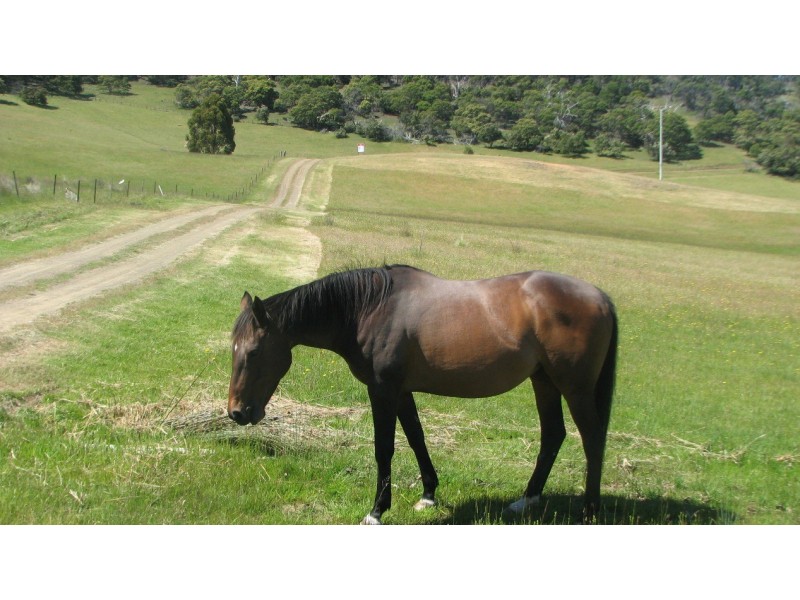 Lot 1/120 Gunner Quoin Road, Old Beach TAS 7017