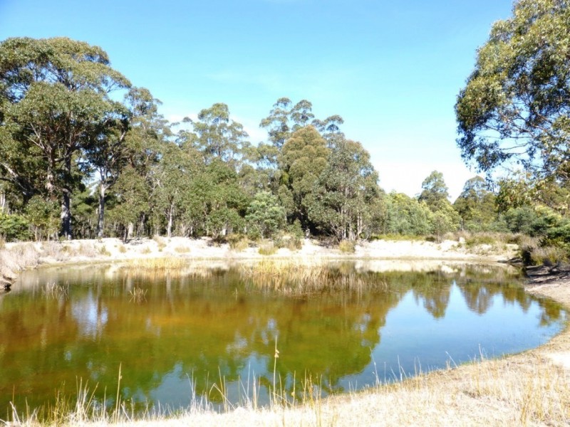 124 Forest Road, Rhyndaston TAS 7120