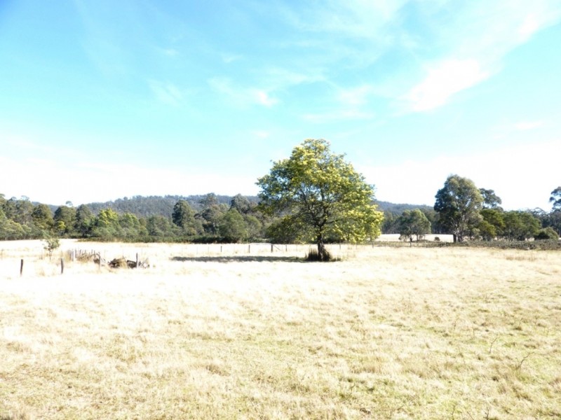 124 Forest Road, Rhyndaston TAS 7120