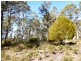 124 Forest Road, Rhyndaston TAS 7120