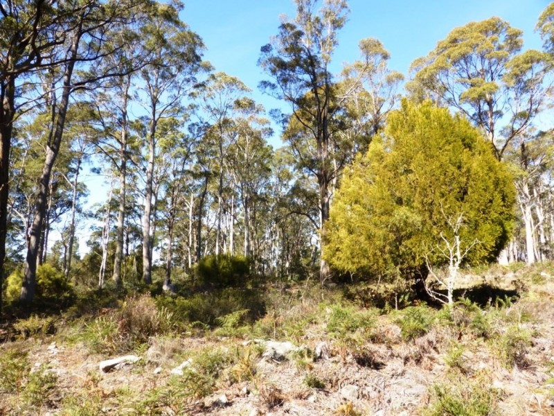 124 Forest Road, Rhyndaston TAS 7120