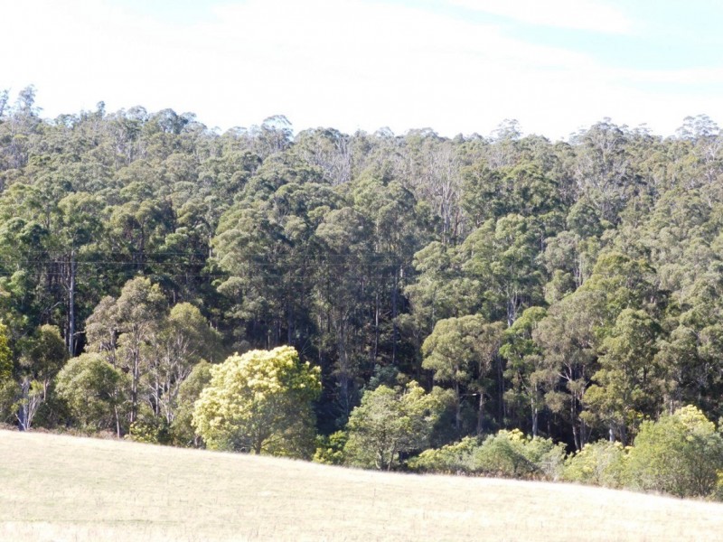 124 Forest Road, Rhyndaston TAS 7120
