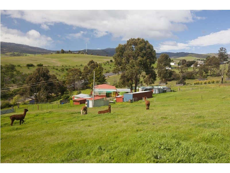 3247 Lyell Highway, Rosegarland TAS 7140