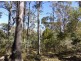900 Swanston Road, Swanston TAS 7120