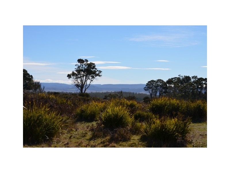 00 Tunnack Road, Parattah TAS 7120