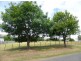2 Victoria Valley Road, Ouse TAS 7140