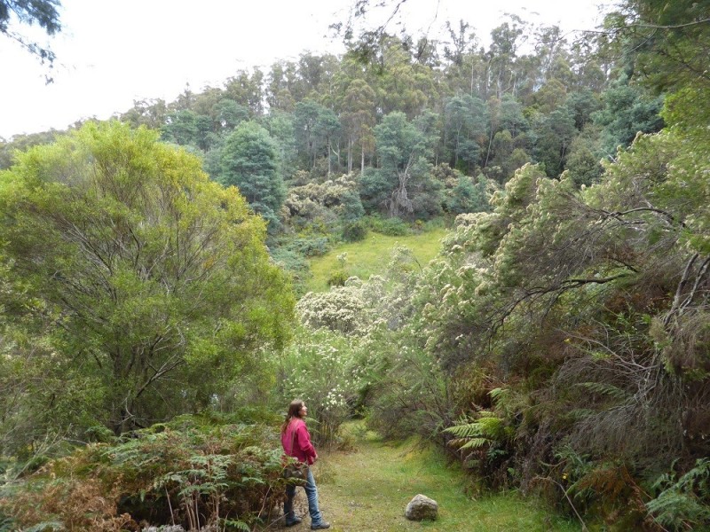 Lot 1 Couchs Hill Road, Lucaston TAS 7109