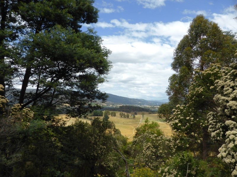 Lot 1 Couchs Hill Road, Lucaston TAS 7109