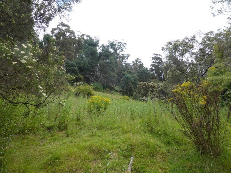 Lot 1 Couchs Hill Road, Lucaston TAS 7109