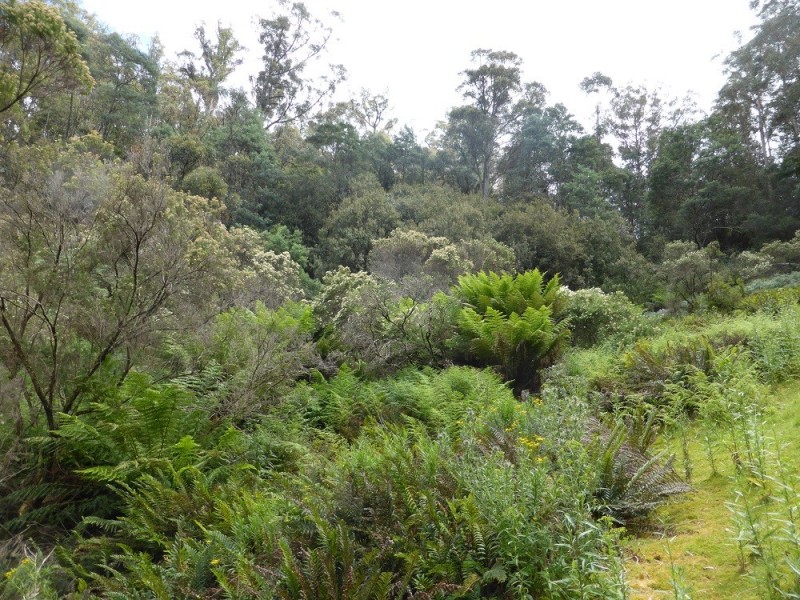 Lot 1 Couchs Hill Road, Lucaston TAS 7109