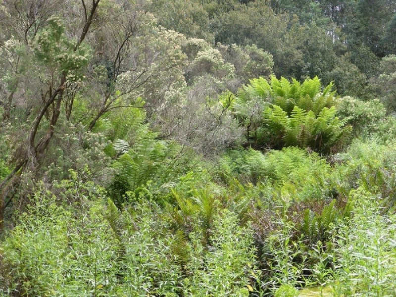 Lot 1 Couchs Hill Road, Lucaston TAS 7109