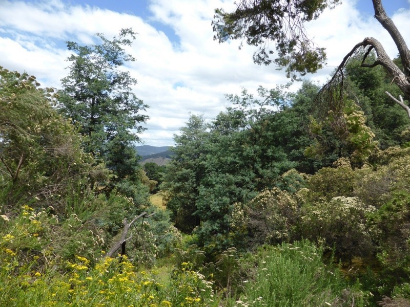 Lot 1 Couchs Hill Road, Lucaston TAS 7109