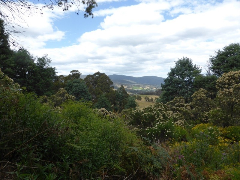 Lot 1 Couchs Hill Road, Lucaston TAS 7109