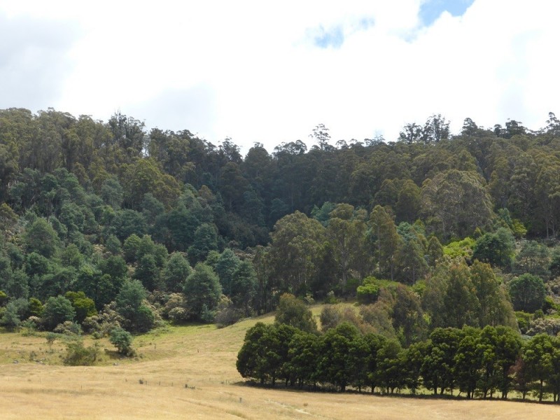 Lot 1 Couchs Hill Road, Lucaston TAS 7109