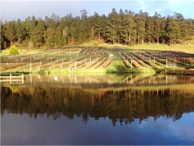 268 Krauses Road, Lower Longley TAS 7109