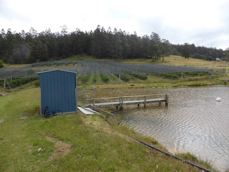 268 Krauses Road, Lower Longley TAS 7109