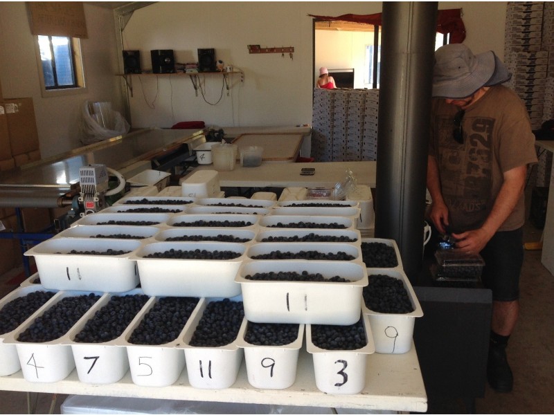 268 Krauses Road, Lower Longley TAS 7109