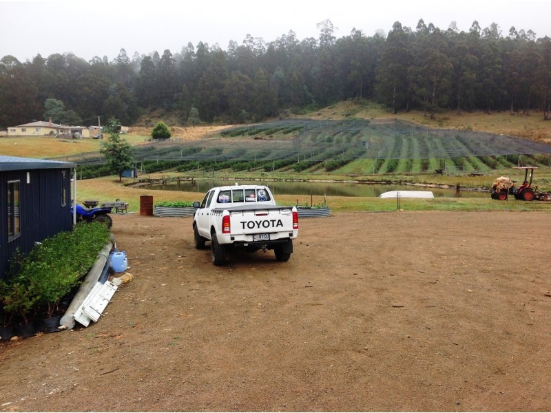 268 Krauses Road, Lower Longley TAS 7109