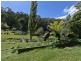 142 Waterworks Road, Dynnyrne TAS 7005