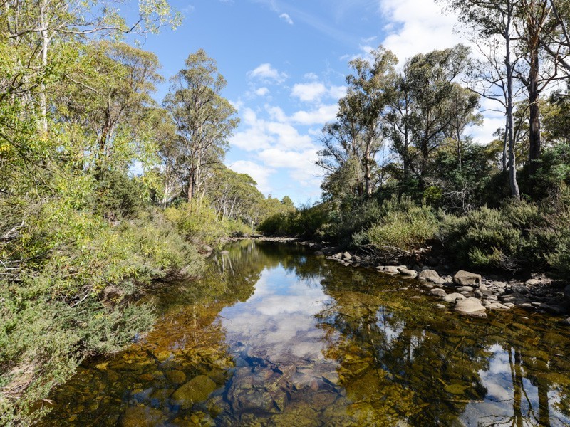 2665 Waddamana Road, Waddamana TAS 7030