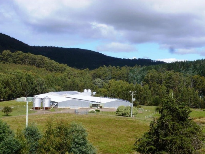 210 Radnor Road, Port Arthur TAS 7182