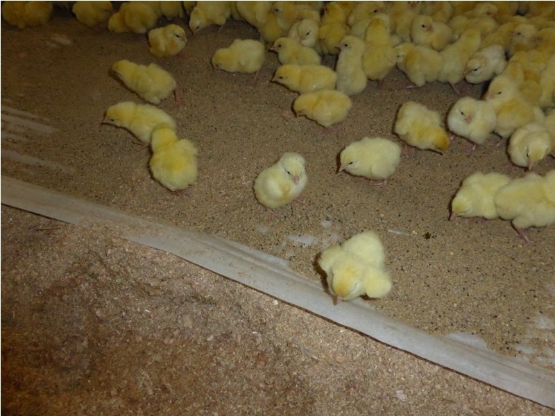 210 Radnor Road, Port Arthur TAS 7182