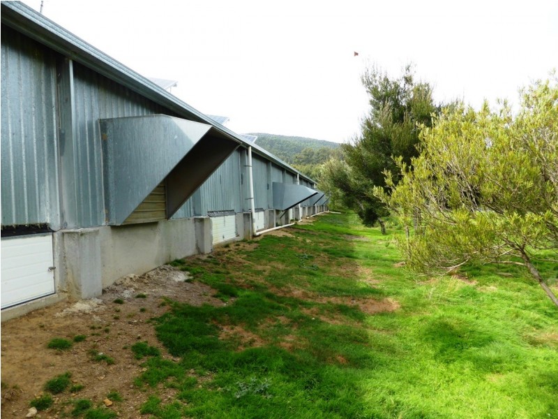 210 Radnor Road, Port Arthur TAS 7182