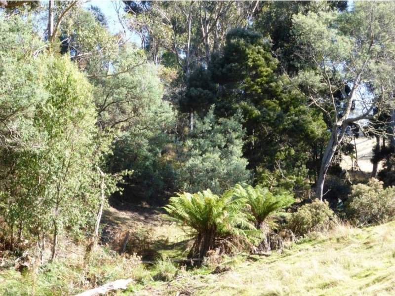 170 Rockmount Road, Ellendale TAS 7140