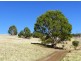 170 Rockmount Road, Ellendale TAS 7140