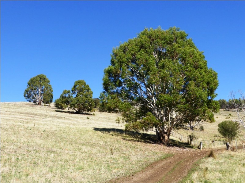 170 Rockmount Road, Ellendale TAS 7140