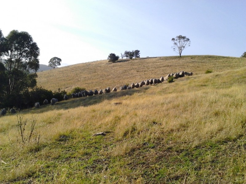 170 Rockmount Road, Ellendale TAS 7140