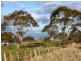 170 Rockmount Road, Ellendale TAS 7140