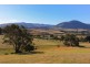 234 White Kangaroo Road, Campania TAS 7026