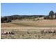 234 White Kangaroo Road, Campania TAS 7026