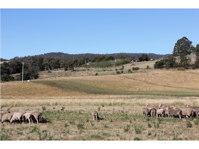 234 White Kangaroo Road, Campania TAS 7026