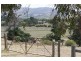 234 White Kangaroo Road, Campania TAS 7026