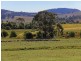 234 White Kangaroo Road, Campania TAS 7026