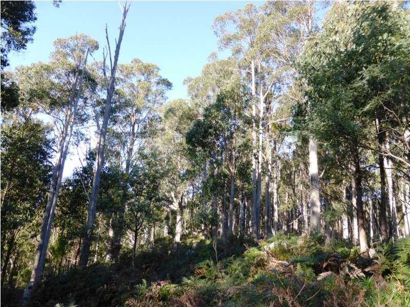 130 The Avenue, Ellendale TAS 7140