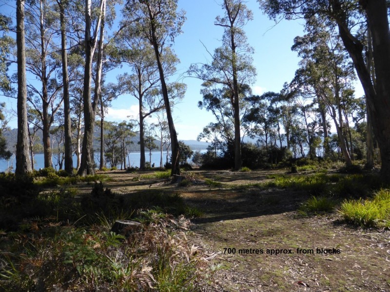 Lot 1 and Lot 2 Alma Tier Road, Interlaken TAS 7030