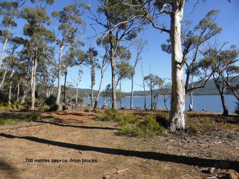 Lot 1 and Lot 2 Alma Tier Road, Interlaken TAS 7030