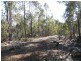 Lot 1 and Lot 2 Alma Tier Road, Interlaken TAS 7030