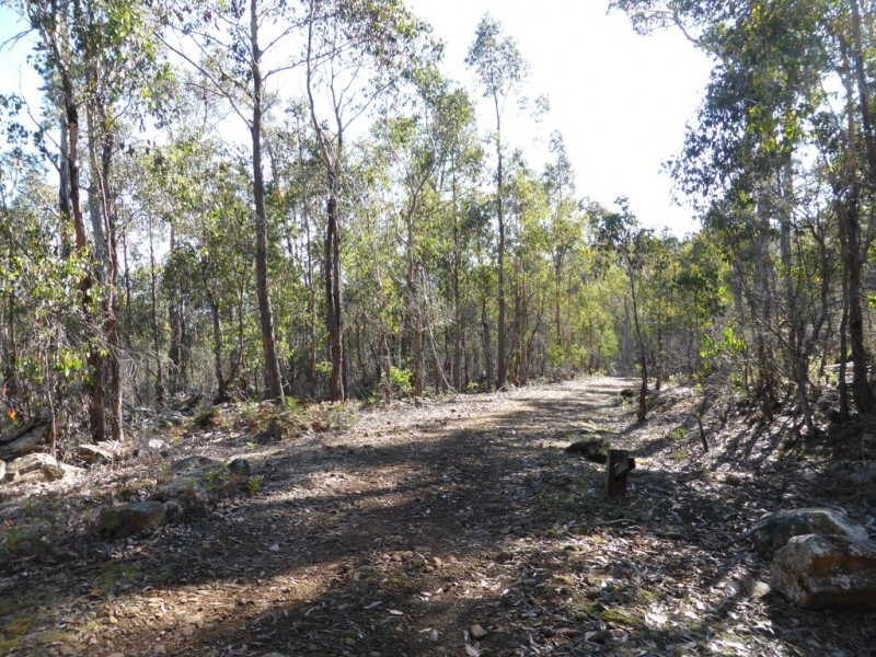 Lot 1 and Lot 2 Alma Tier Road, Interlaken TAS 7030