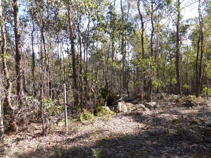 Lot 1 and Lot 2 Alma Tier Road, Interlaken TAS 7030