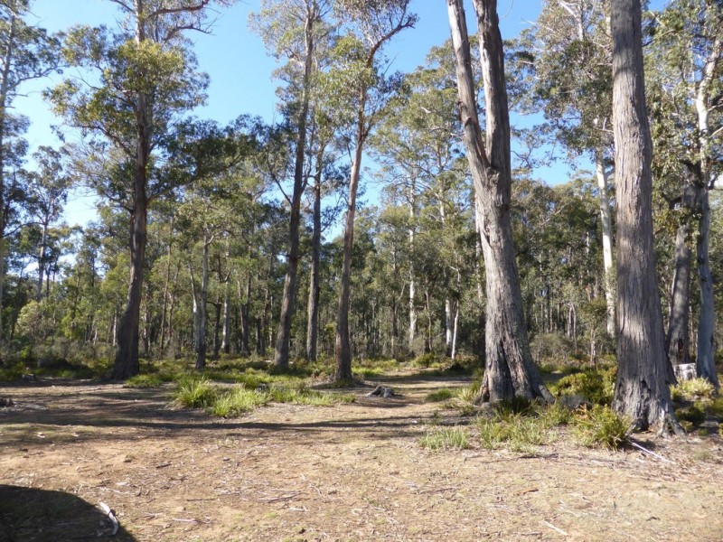 Lot 1 and Lot 2 Alma Tier Road, Interlaken TAS 7030